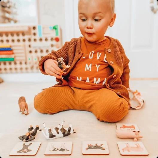 Toddler with the Montessori Animal Match